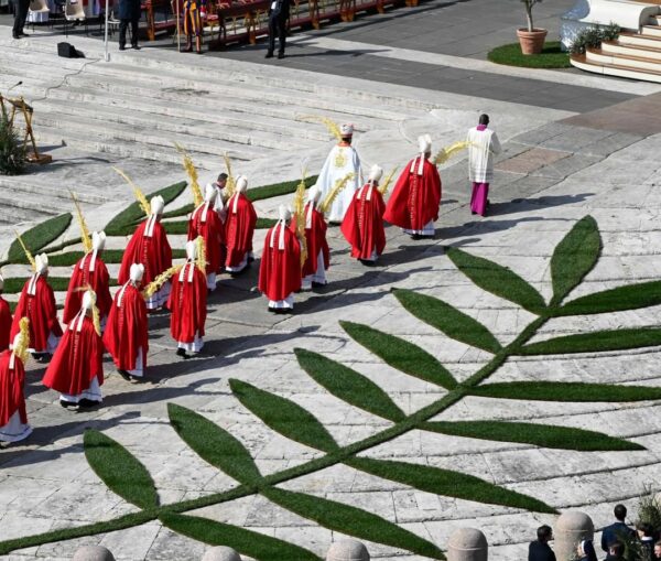 Domingo de Ramos: el Papa clama al Rey de la Paz