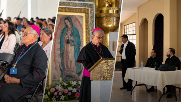 Provincia de Hidalgo: formación sacerdotal y acción pastoral